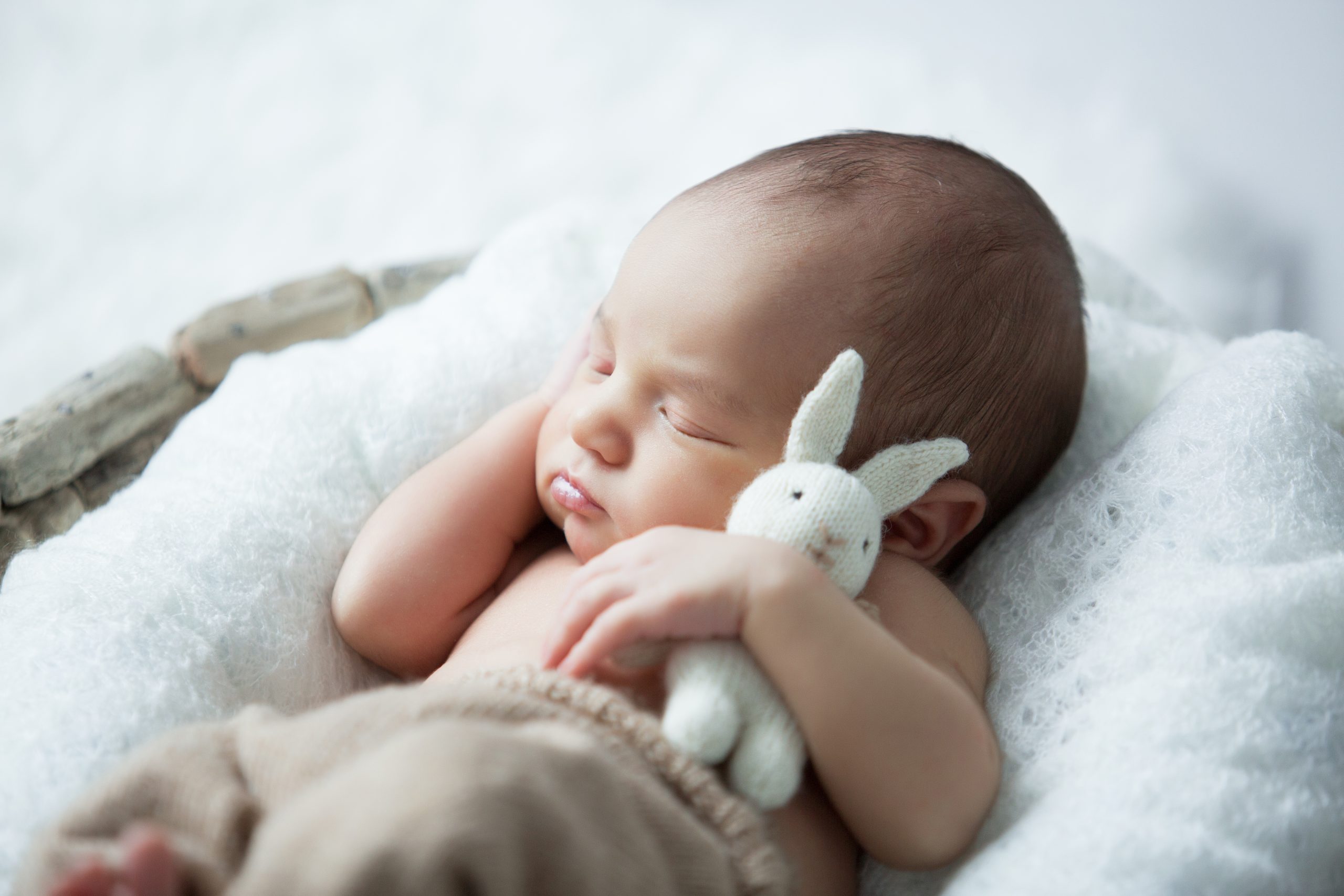 shutterstock_524300305